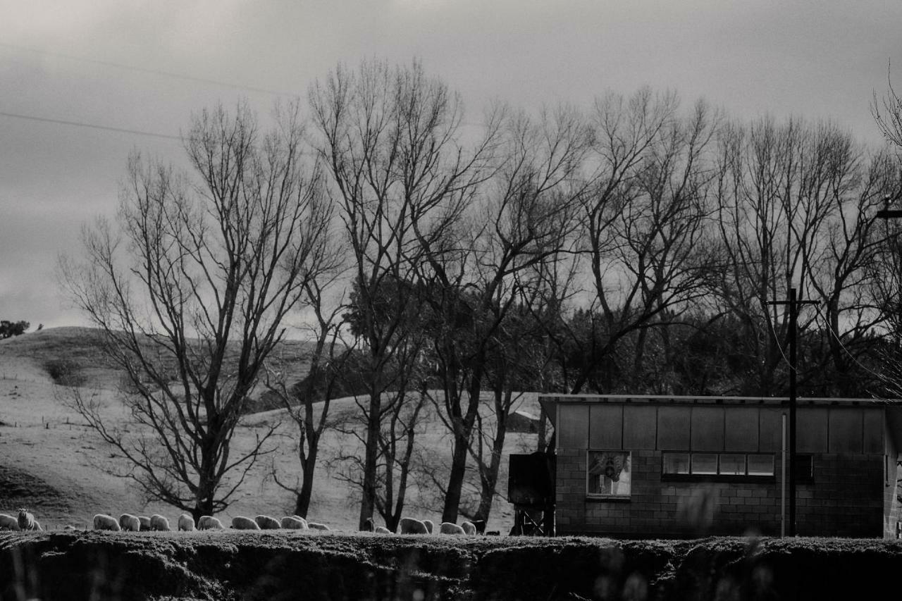 Wallingford Homestead Kültér fotó